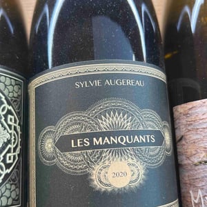 Les Manquants - Sylvie Augereau - sylvie-augereau