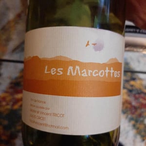 Les Marcottes - Marie et Vincent Tricot - Vincent et Marie Tricot 