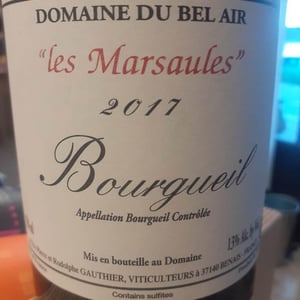Les Marsaules - Domaine Du Bel Air - Pierre & Rodolphe Gauthier 
