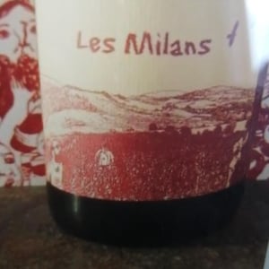 Marie et Vincent Tricot - Vincent et Marie Tricot - Les Milans