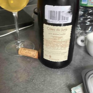 Domaine Ganevat - Anne & Jean-François Ganevat - Les Miraculés