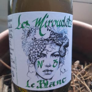 Les Miroudots N°3 - Nicolas BERNARD - Nicolas Bernard -2021