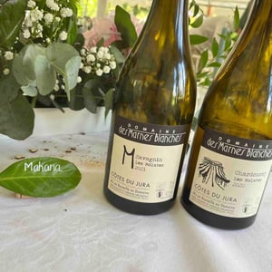 Les Molates Chardonnay - Domaine Des Marnes Blanches - pauline-geraud-fromont