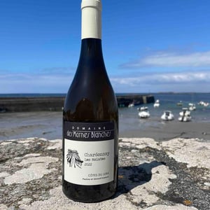 Les Molates Chardonnay - Domaine Des Marnes Blanches - pauline-geraud-fromont