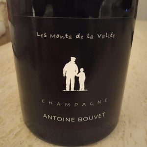 Les Monts De La Valle - Champagne Antoine Bouvet - antoine-bouvet