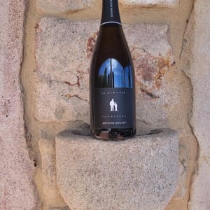 Les Monts De La Valle - Champagne Antoine Bouvet - antoine-bouvet