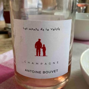 Les Monts De La Vallée - Champagne Antoine Bouvet - antoine-bouvet -2015