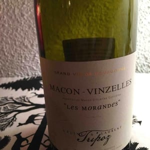 Domaine Tripoz - Céline & Laurent Tripoz - Les Morandes