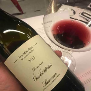 Les Motelles - Domaine Guiberteau - romain-guiberteau