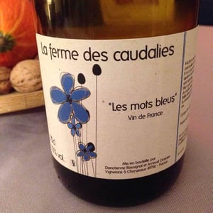 Les Mots Bleus - La Ferme des Caudalies - Arnaud Crasnier 