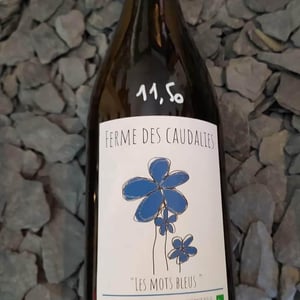 Les Mots Bleus - La Ferme des Caudalies - Arnaud Crasnier 
