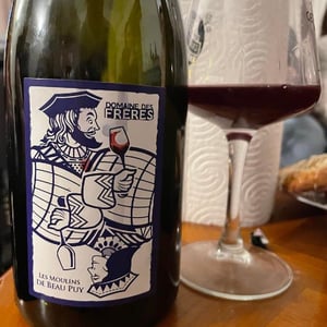 Les Moulins de Beau Puy - Domaine Des Frères - marie-et-valentin-bruneau -2020