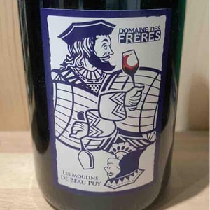 Les Moulins de Beau Puy - Domaine Des Frères - marie-et-valentin-bruneau -2020