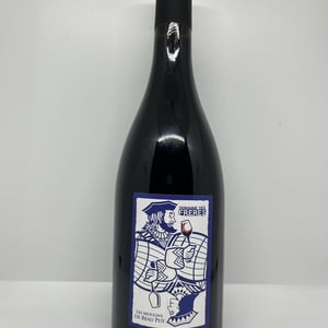 Les Moulins de Beau Puy - Domaine Des Frères - marie-et-valentin-bruneau -2020