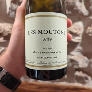 Les Moutons - Prieuré Saint Jean de Bébian - benoit-pontenier -2020