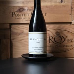 Les Moutons - Prieuré Saint Jean de Bébian - benoit-pontenier -2020