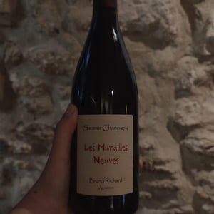 Les Murailles Neuves - Les Murailles Neuves - Bruno Richard 