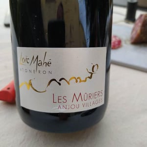 Les Mûriers - Loïc Mahé - Loïc Mahé 