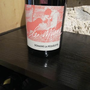 Les Muses - Domaine La Péquélette - cedric-guillaume-corbin