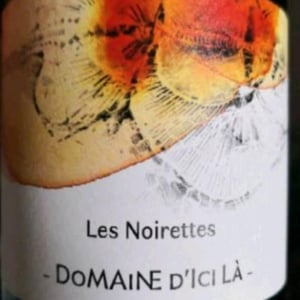 Domaine D'ici là - Adrien Bariol - Les Noirettes