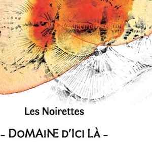 Les Noirettes - Domaine D'ici là - adrien-bariol