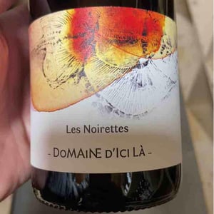 Les Noirettes - Domaine D'ici là - adrien-bariol