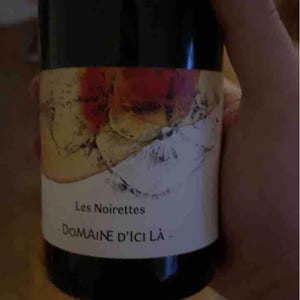 Les Noirettes - Domaine D'ici là - adrien-bariol
