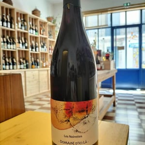 Les Noirettes - Domaine D'ici là - adrien-bariol