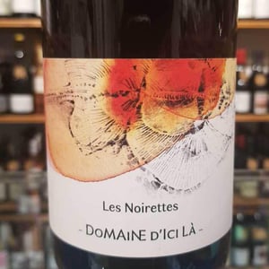 Les Noirettes - Domaine D'ici là - adrien-bariol