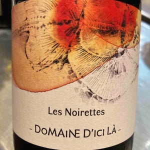 Les Noirettes - Domaine D'ici là - Adrien Bariol 