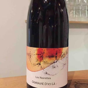 Les Noirettes - Domaine D'ici là - adrien-bariol