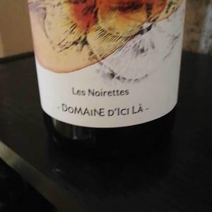 Les Noirettes - Domaine D'ici là - adrien-bariol