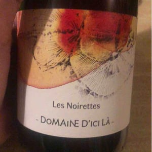 Les Noirettes - Domaine D'ici là - Adrien Bariol 