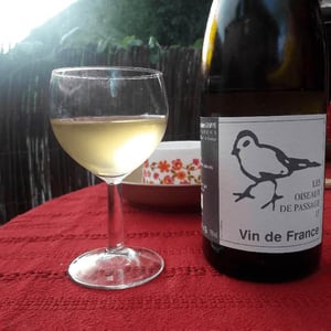 Les Oiseaux De Passage - Didier Grappe - didier-et-jules-grappe