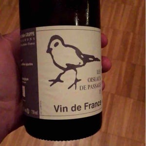 Les Oiseaux De Passage 2015