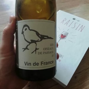 Les Oiseaux De Passage - Didier Grappe - didier-et-jules-grappe