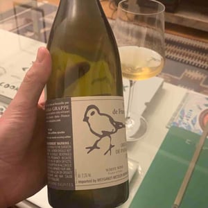 Didier Grappe - Didier et Jules Grappe - Les Oiseaux De Passage