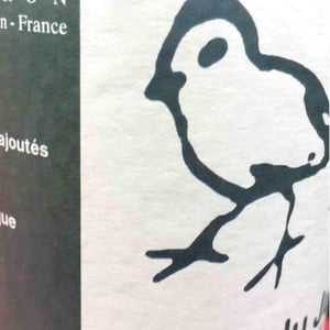 Didier Grappe - Didier et Jules Grappe - Les Oiseaux De Passage