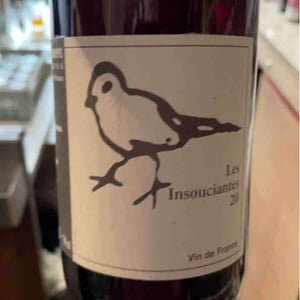 Les Oiseaux De Passage - Didier Grappe - didier-et-jules-grappe