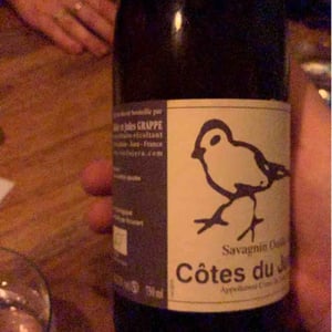 Didier Grappe - Didier et Jules Grappe - Les Oiseaux De Passage