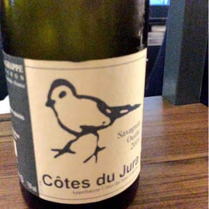 Les Oiseaux De Passage - Didier Grappe - didier-et-jules-grappe
