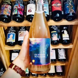 Les Oiseaux de passage - Domaine de l'Astré - Aude Duval et Sylvain Ohayon -2021