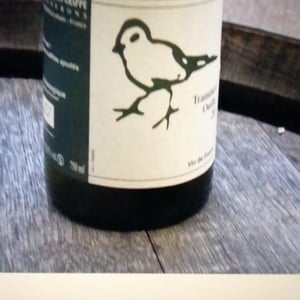 Les Oiseaux De Passage - Didier Grappe - Didier et Jules Grappe 