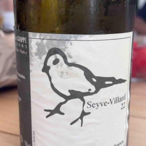 Les Oiseaux De Passage - Didier Grappe - Didier et Jules Grappe 