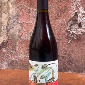 Les Oliviers - Les Vignerons d'Estézargues - les-vignerons-destezargues -2020
