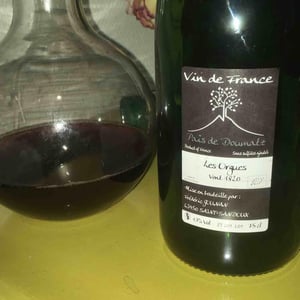 Domaine de l'Arbre Blanc - Frédéric Gounan - Les Orgues