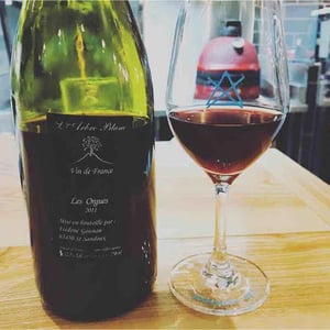 Domaine de l'Arbre Blanc - Frédéric Gounan - Les Orgues