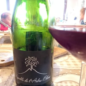Domaine de l'Arbre Blanc - Frédéric Gounan - Les Orgues