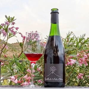 Domaine de l'Arbre Blanc - Frédéric Gounan - Les Orgues