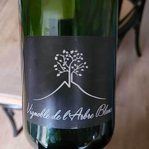 Domaine de l'Arbre Blanc - Frédéric Gounan - Les Orgues